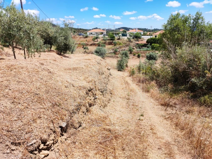 Terreno para Venda em Serra e Junceira Foto 23