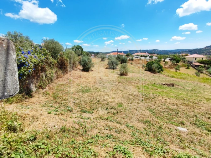 Terreno para Venda em Serra e Junceira Foto 31