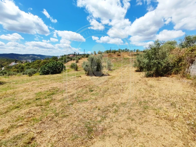 Terreno para Venda em Serra e Junceira Foto 34