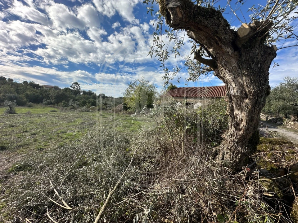 Moradia T2 para Venda em Chãos Foto 9