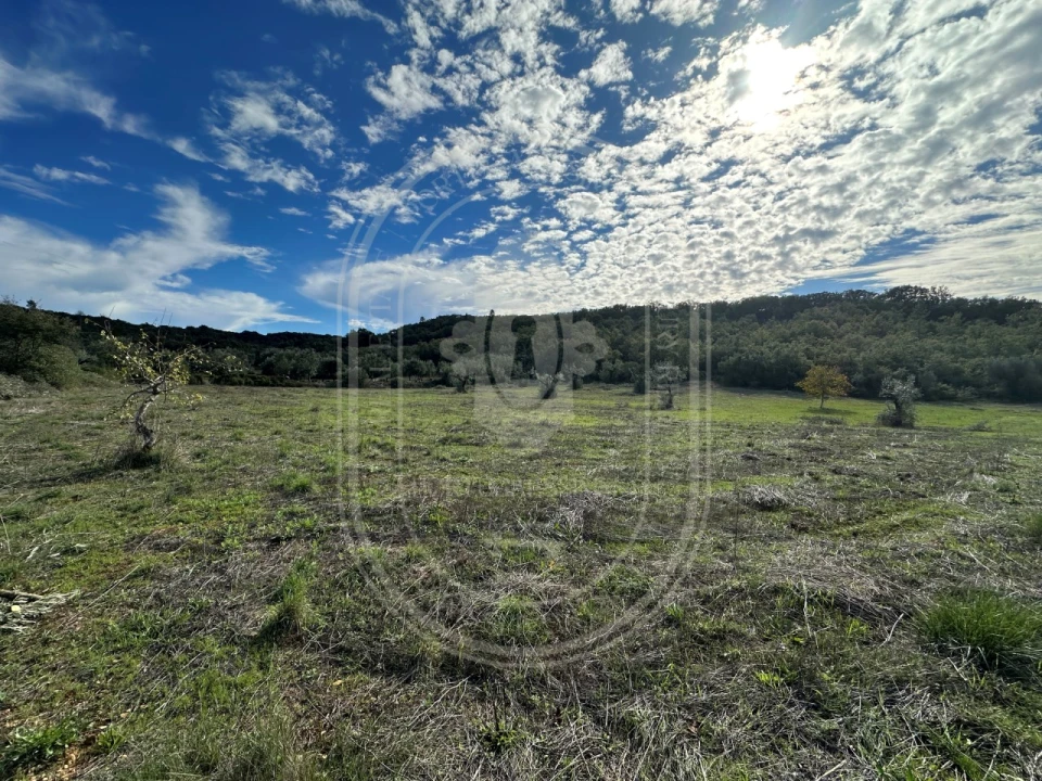 Moradia T2 para Venda em Chãos Foto 27