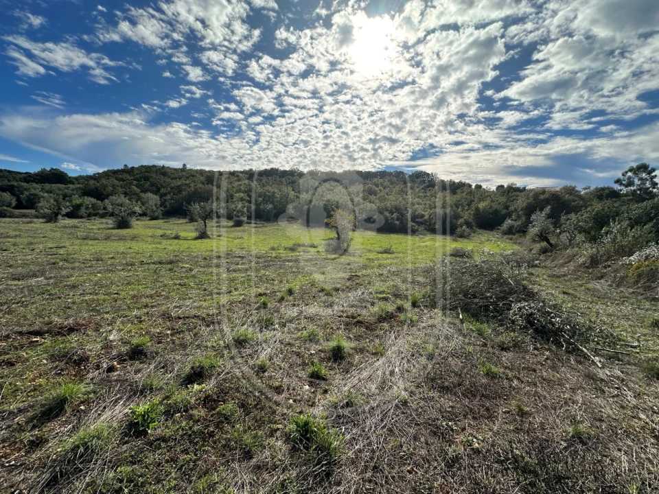 Moradia T2 para Venda em Chãos Foto 33