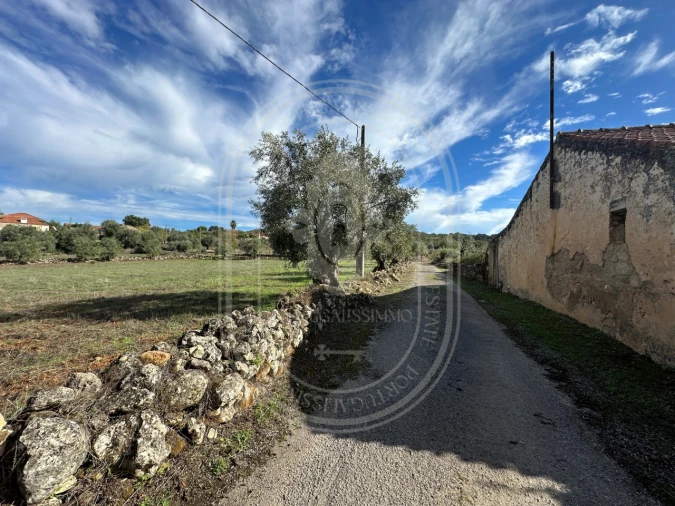 Moradia T2 para Venda em Chãos Foto 1