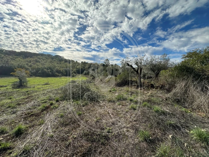 Moradia T2 para Venda em Chãos Foto 32