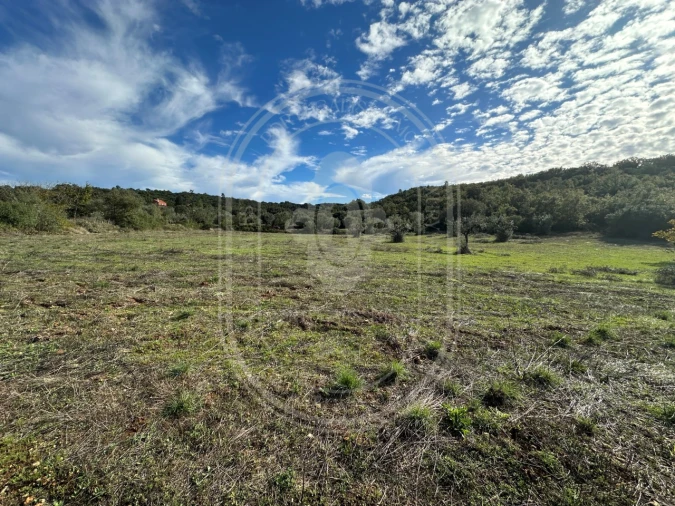 Moradia T2 para Venda em Chãos Foto 34