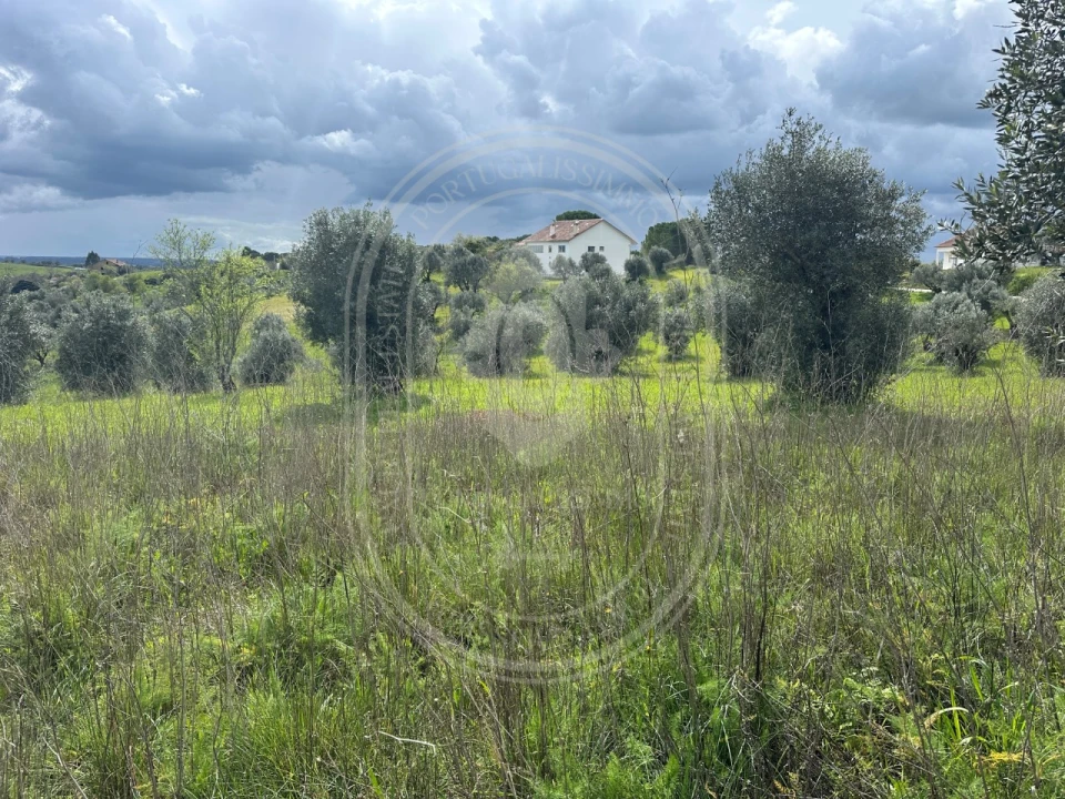 Terreno para Venda em São João Baptista e Santa Maria dos Olivais Foto 18