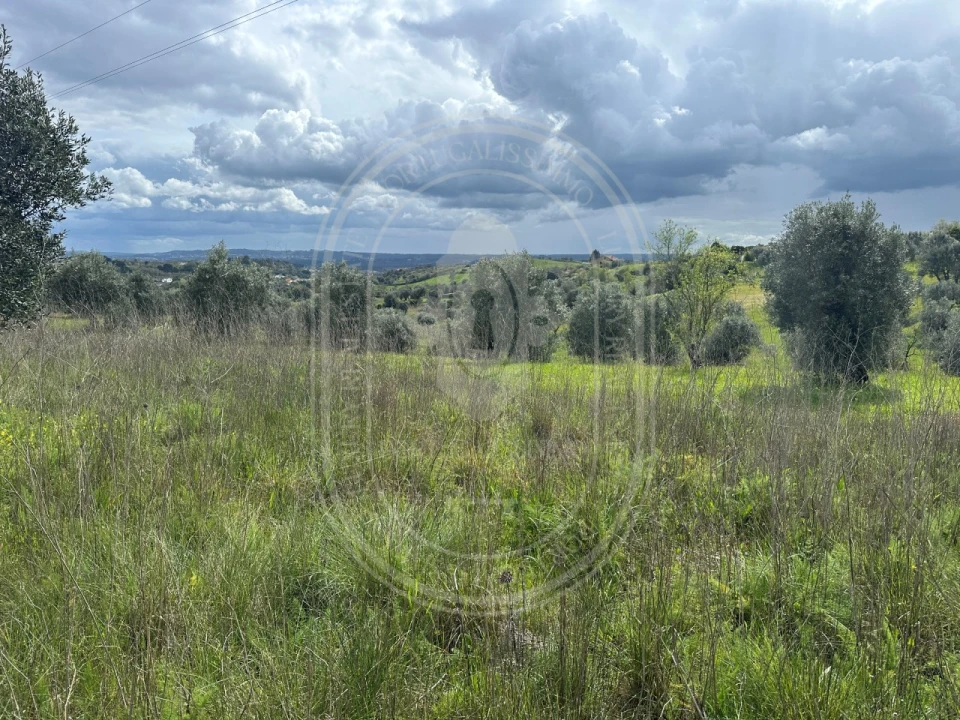 Terreno para Venda em São João Baptista e Santa Maria dos Olivais Foto 19