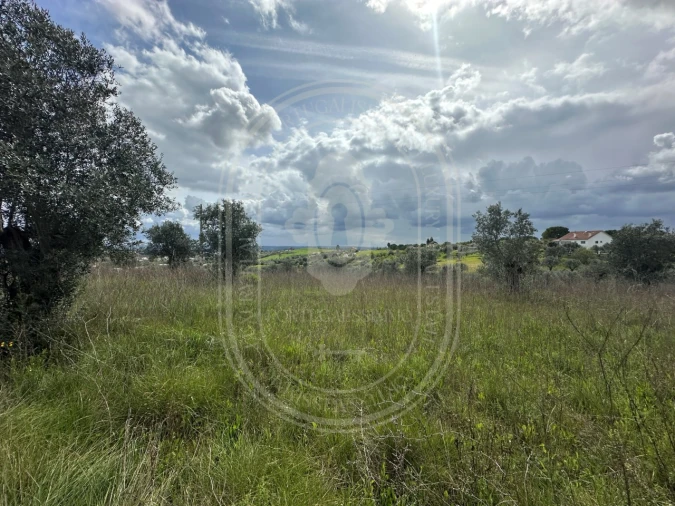 Terreno para Venda em São João Baptista e Santa Maria dos Olivais Foto 5