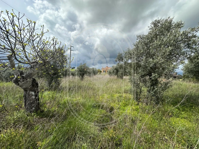 Terreno para Venda em São João Baptista e Santa Maria dos Olivais Foto 12