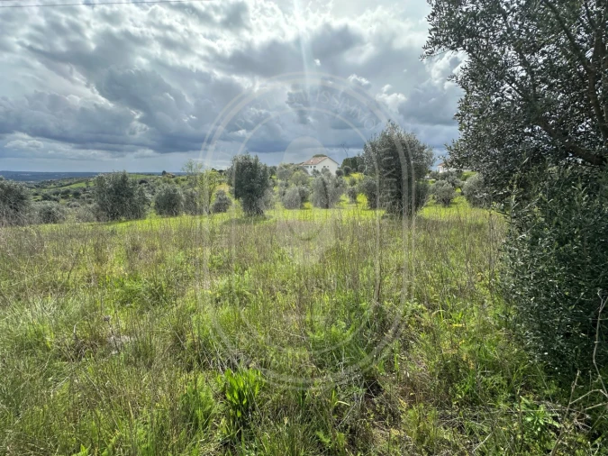 Terreno para Venda em São João Baptista e Santa Maria dos Olivais Foto 17