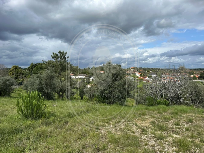 Terreno para Venda em São João Baptista e Santa Maria dos Olivais Foto 23