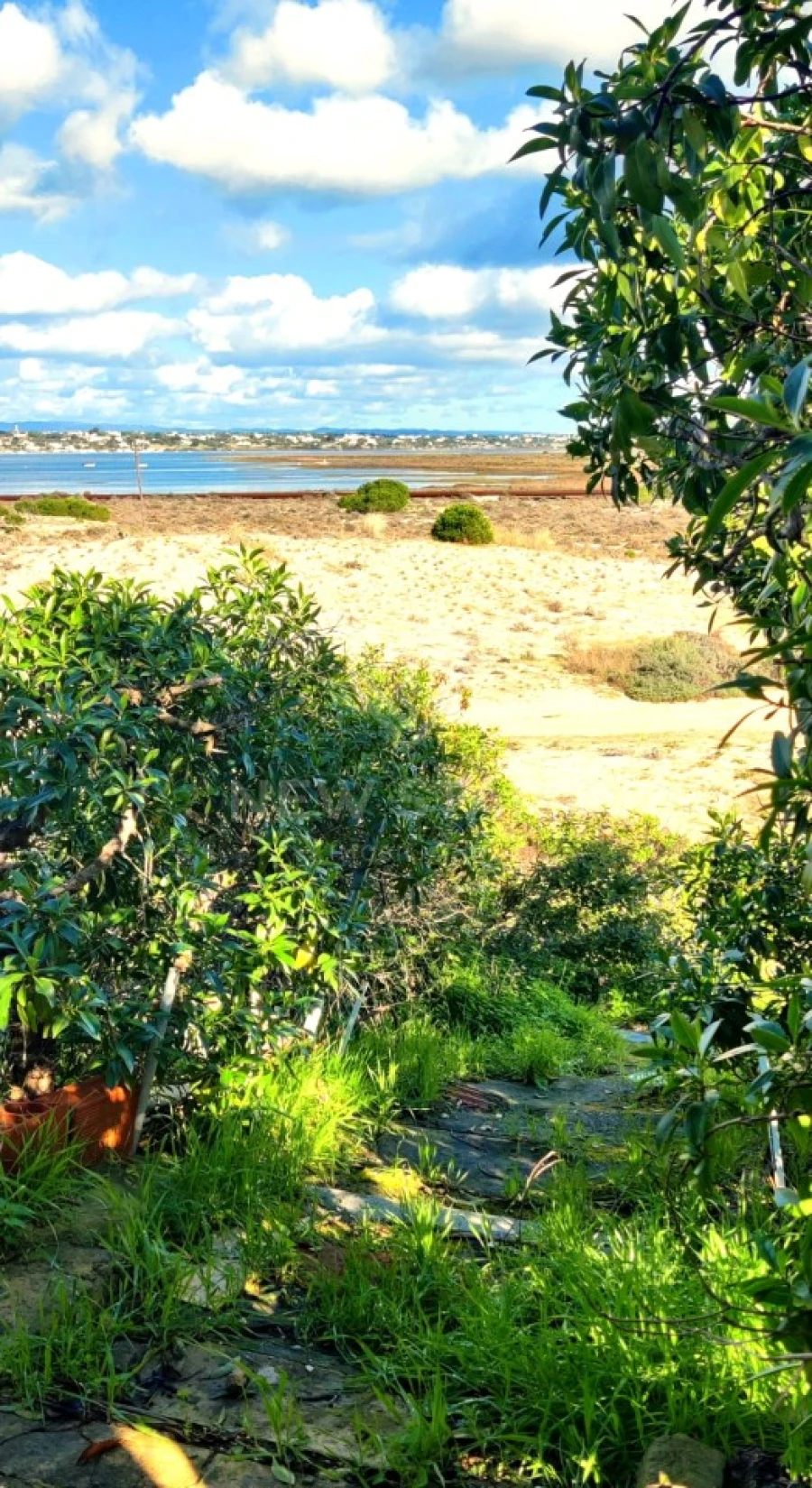 Moradia T2 para Venda em Quelfes Foto 22