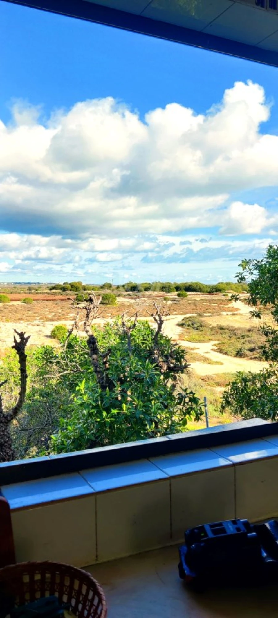 Moradia T2 para Venda em Quelfes Foto 25