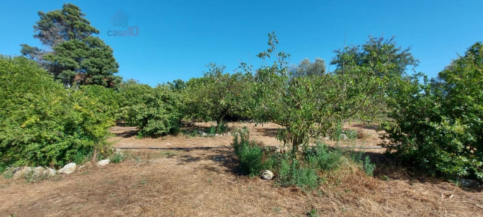 Quinta T3 para Venda em Santo Antonio da Charneca Foto 13