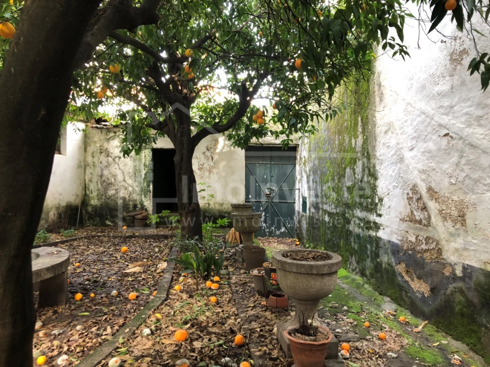 Moradia T6 para Venda em Alcains Foto 22