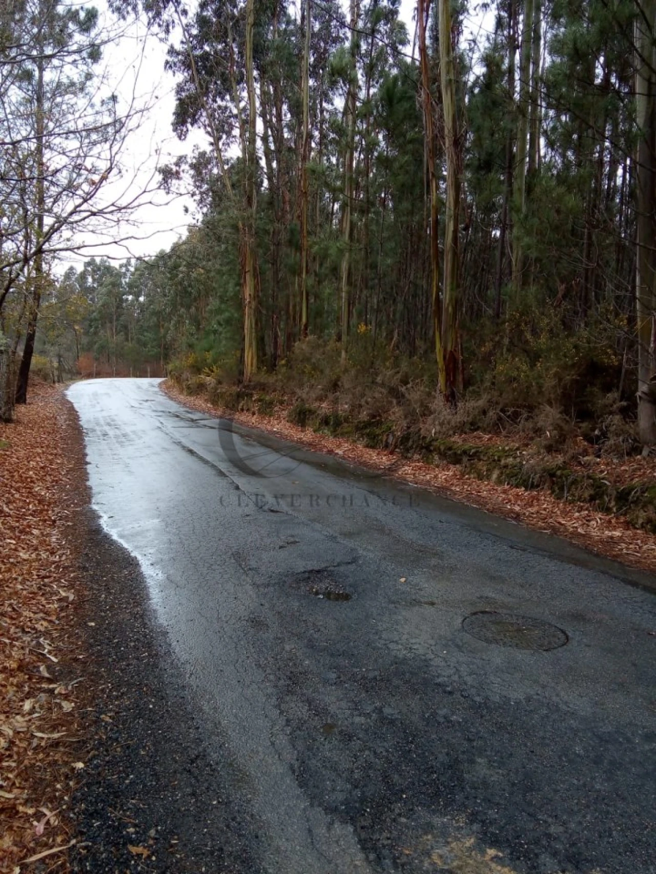 Terreno Agricola ou Rústico para Venda em Argoncilhe Foto 2