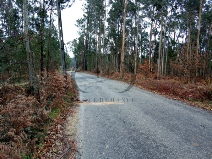 Terreno Agricola ou Rústico para Venda em Argoncilhe Foto 1