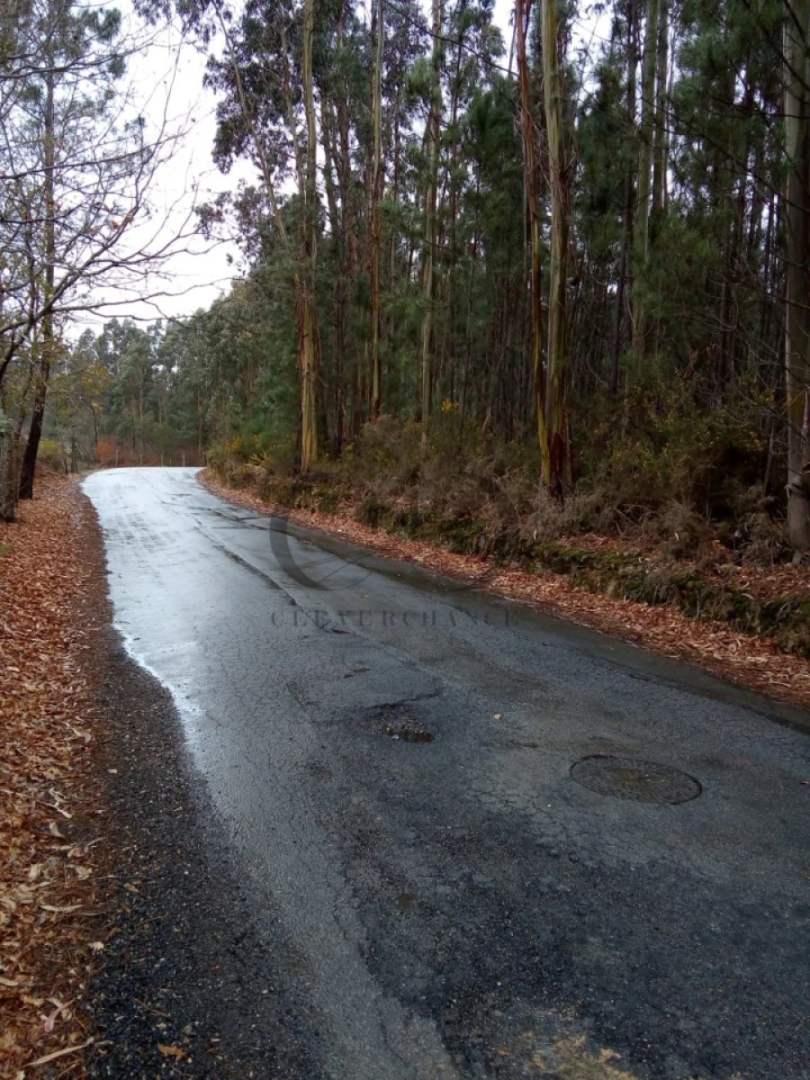 Terreno Agricola ou Rústico para Venda em Argoncilhe Foto 2