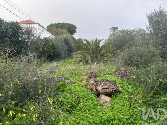 Terreno para Venda em Alcantarilha e Pêra Foto 8