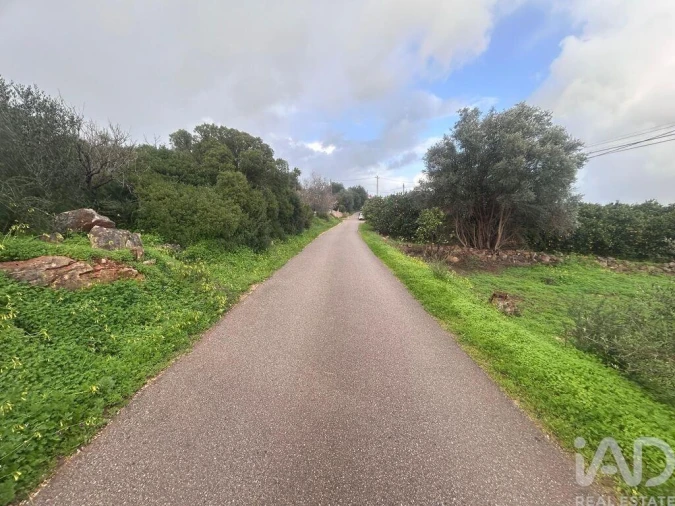 Terreno para Venda em Alcantarilha e Pêra Foto 3