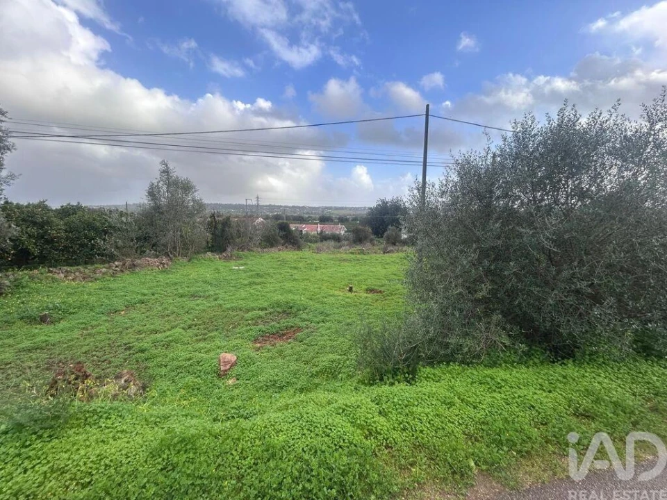 Terreno para Venda em Alcantarilha e Pêra Foto 5