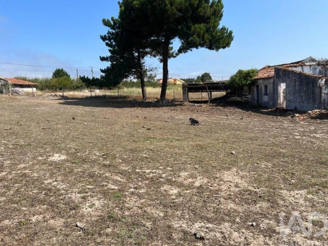 Terreno para Venda em Nossa Senhora do Pópulo, Coto e São Gregório Foto 3