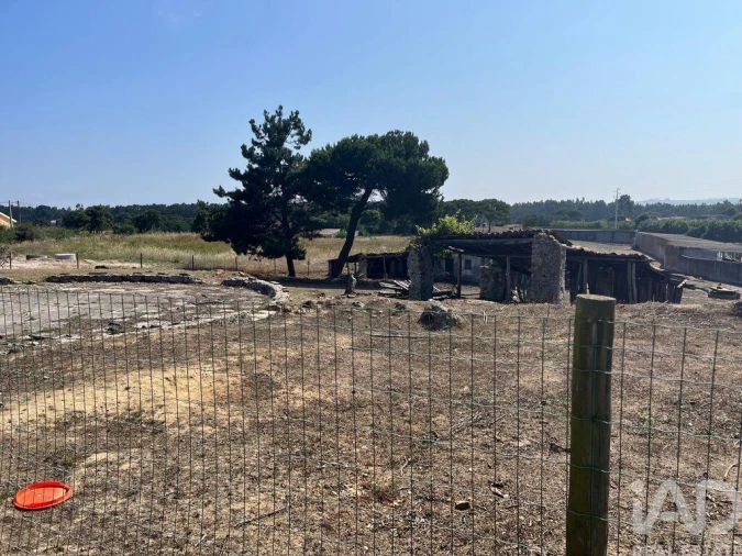Terreno para Venda em Nossa Senhora do Pópulo, Coto e São Gregório Foto 5