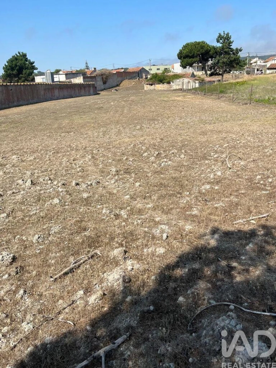 Terreno para Venda em Nossa Senhora do Pópulo, Coto e São Gregório Foto 2