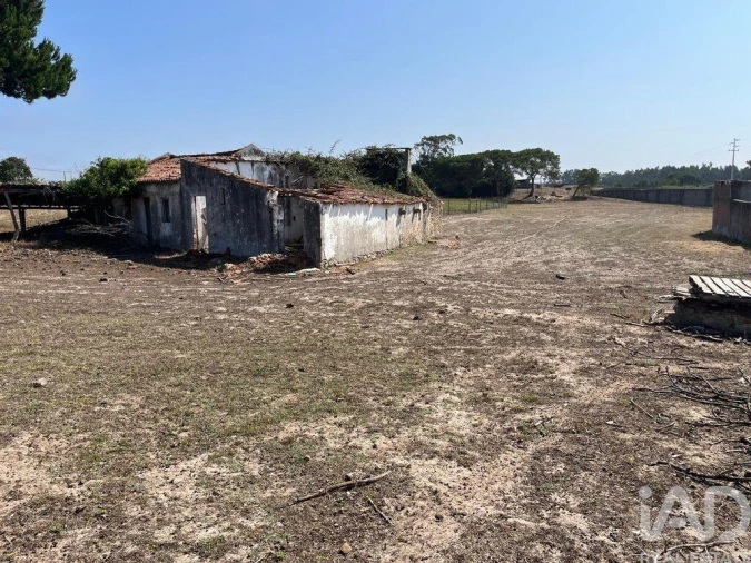 Terreno para Venda em Nossa Senhora do Pópulo, Coto e São Gregório Foto 6