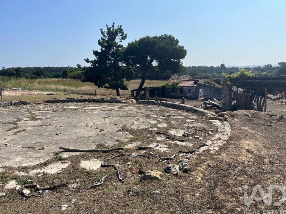 Terreno para Venda em Nossa Senhora do Pópulo, Coto e São Gregório Foto 4