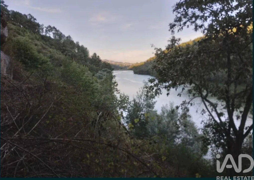 Terreno para Venda em Vila Boa de Quires e Maureles Foto 1