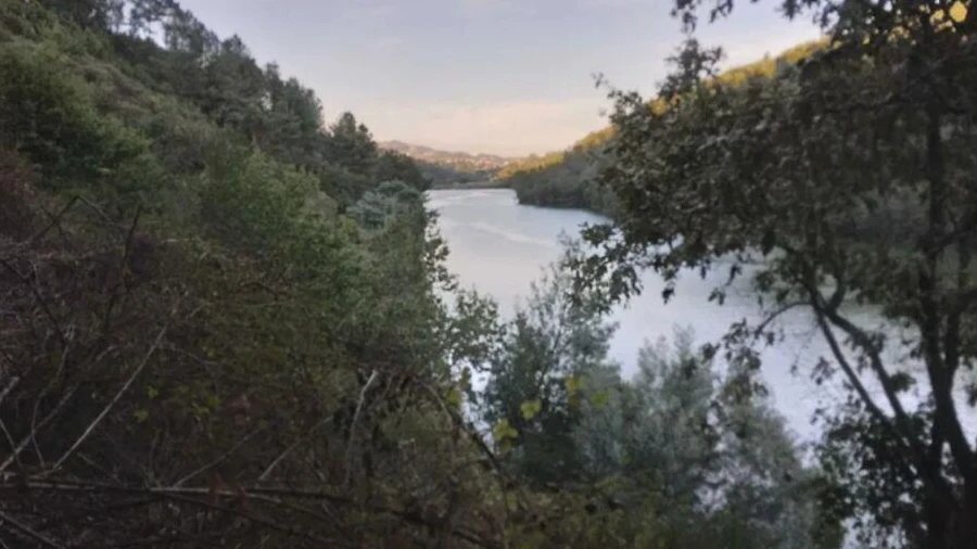 Terreno para Venda em Vila Boa de Quires e Maureles