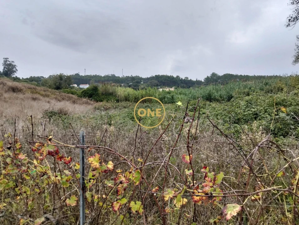 Terreno para Venda em Azueira e Sobral da Abelheira Foto 7
