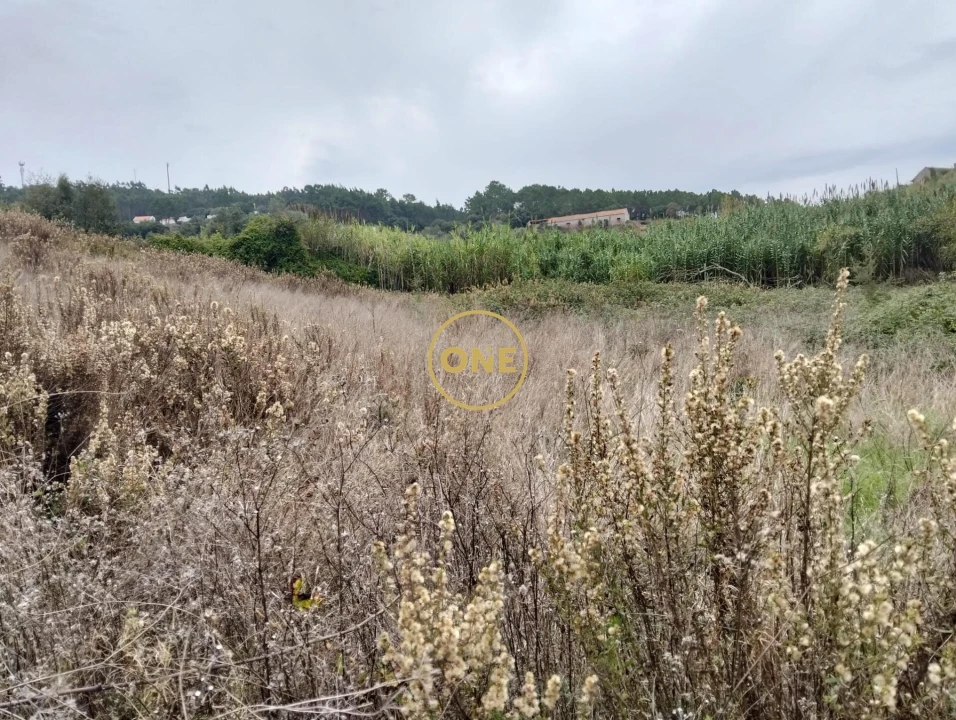 Terreno para Venda em Azueira e Sobral da Abelheira Foto 5