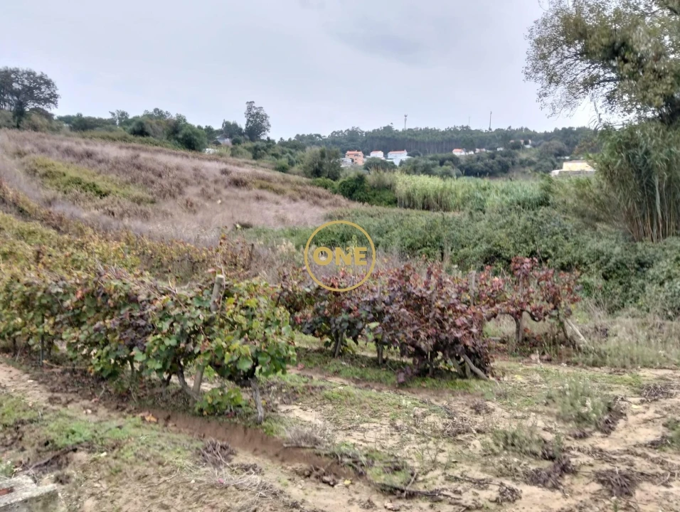 Terreno para Venda em Azueira e Sobral da Abelheira Foto 6
