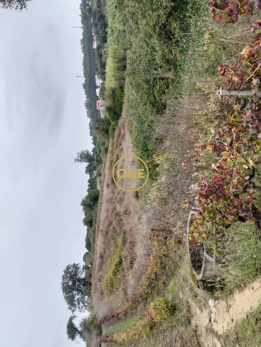 Terreno para Venda em Azueira e Sobral da Abelheira Foto 3