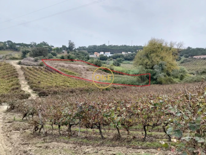 Terreno para Venda em Azueira e Sobral da Abelheira Foto 2