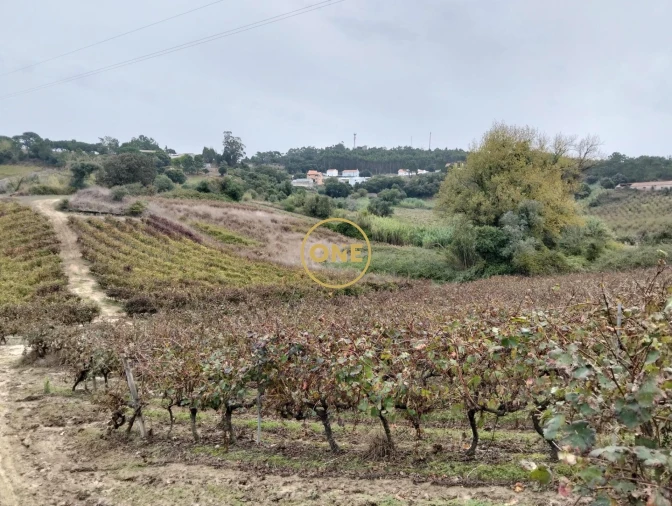 Terreno para Venda em Azueira e Sobral da Abelheira Foto 1