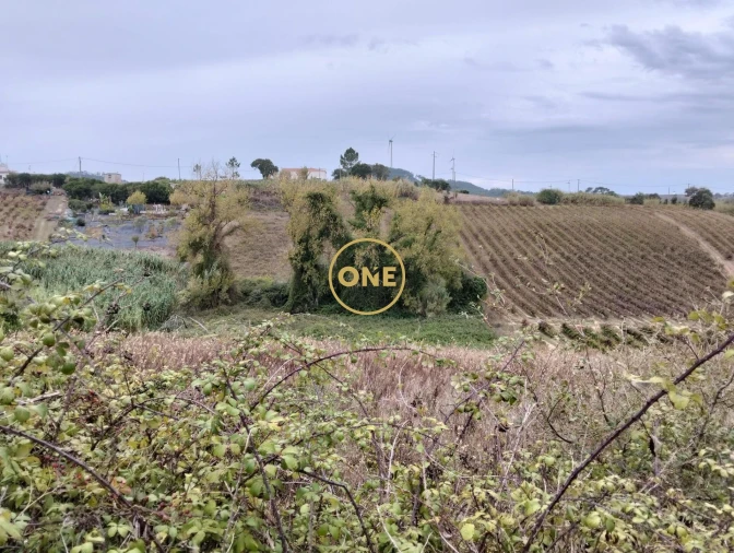 Terreno para Venda em Azueira e Sobral da Abelheira Foto 8