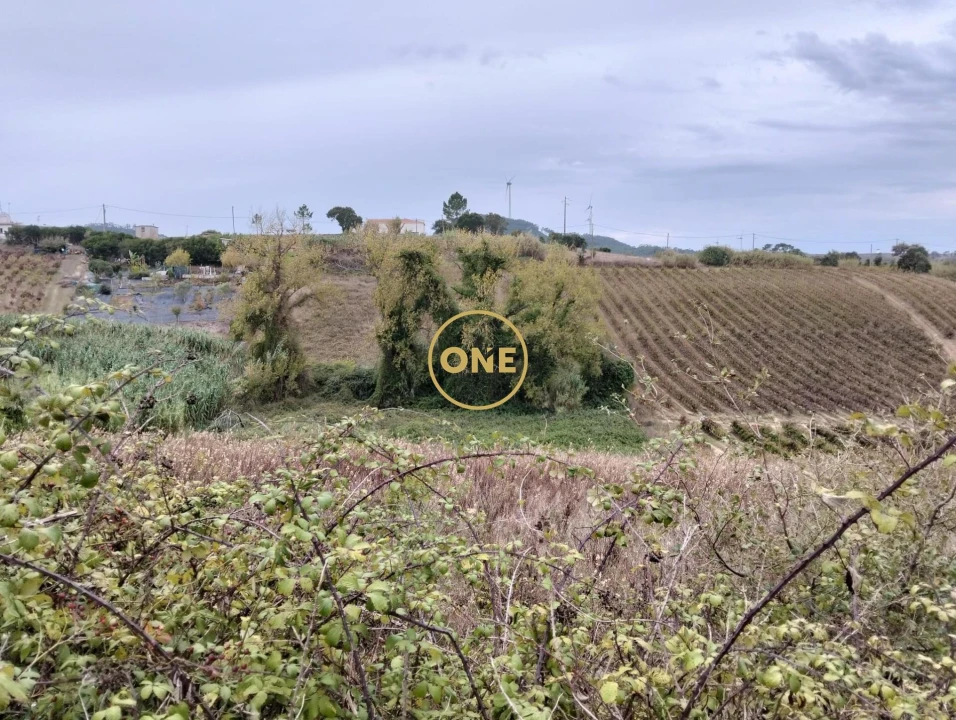 Terreno para Venda em Azueira e Sobral da Abelheira Foto 8