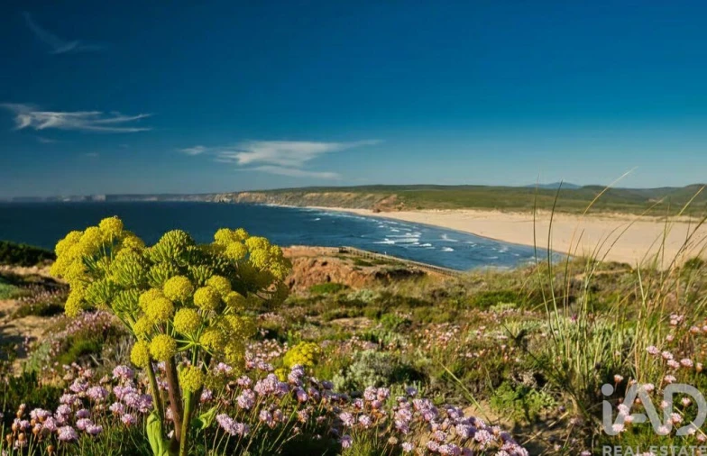 Loja para Venda em Bordeira Foto 19