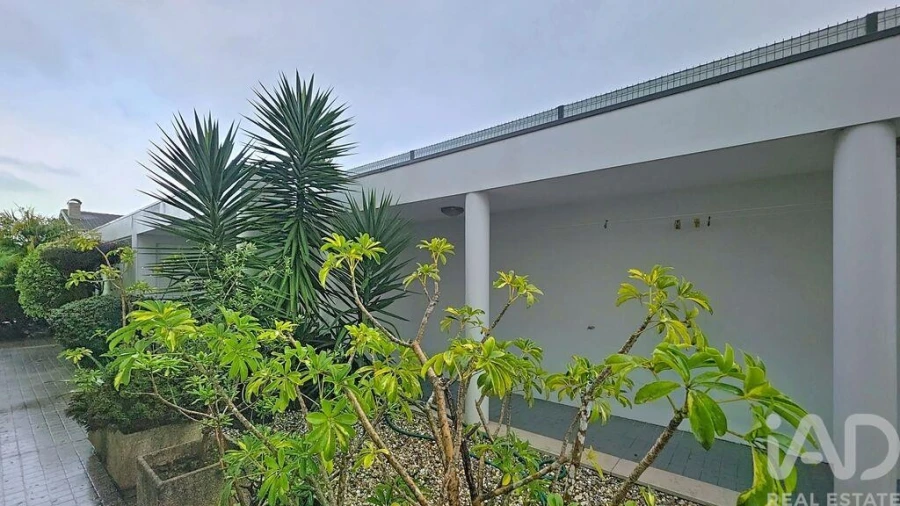 Moradia para Venda em Ovar, São João, Arada e São Vicente de Pereira Jusã Foto 6