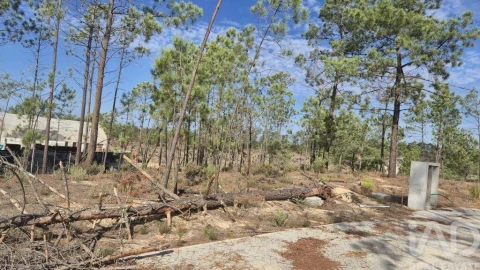 Terreno para Venda em Comporta