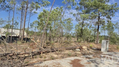 Terreno para Venda em Comporta