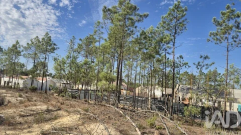 Terreno para Venda em Comporta