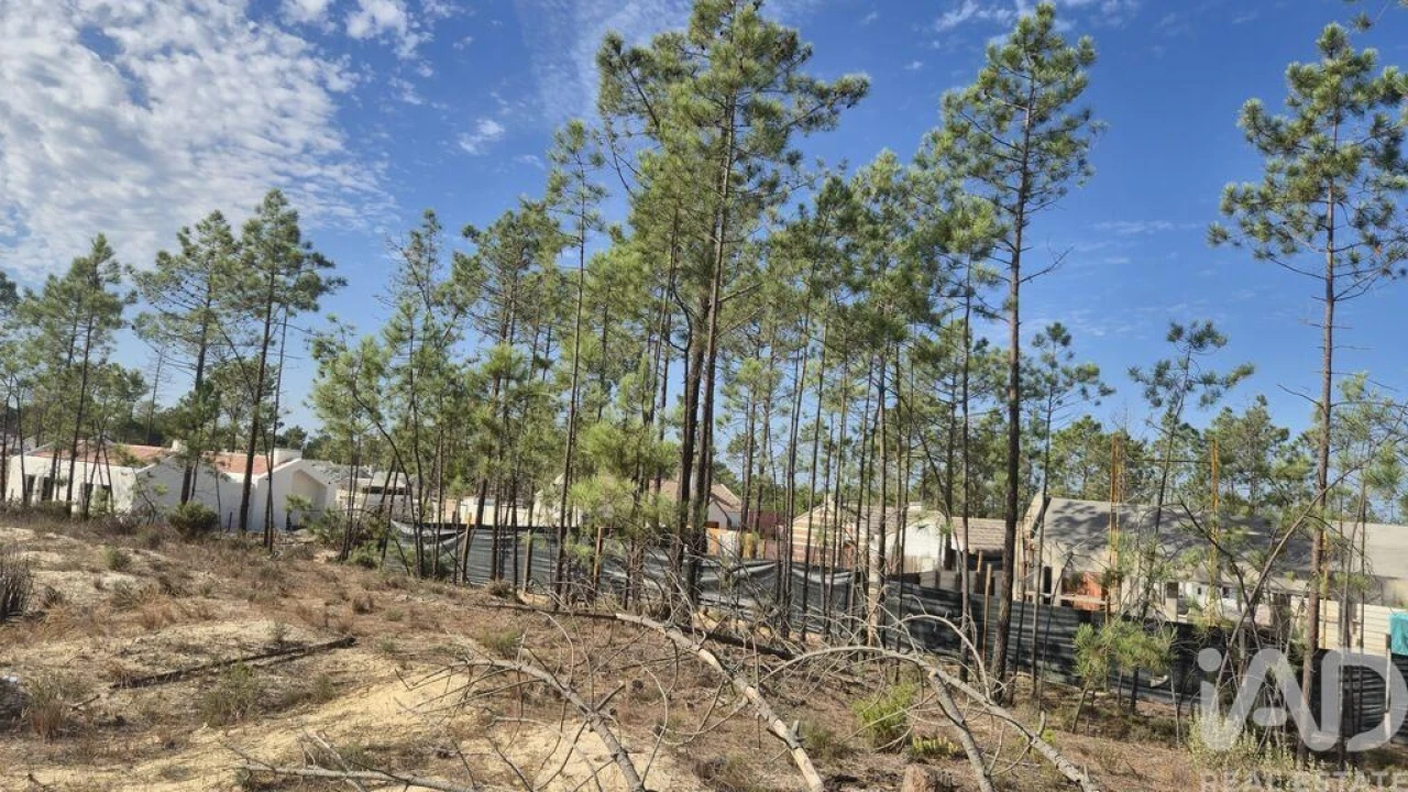Terreno para Venda em Comporta Foto 23