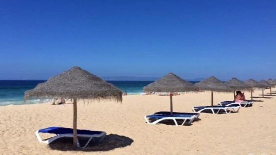 Terreno para Venda em Comporta