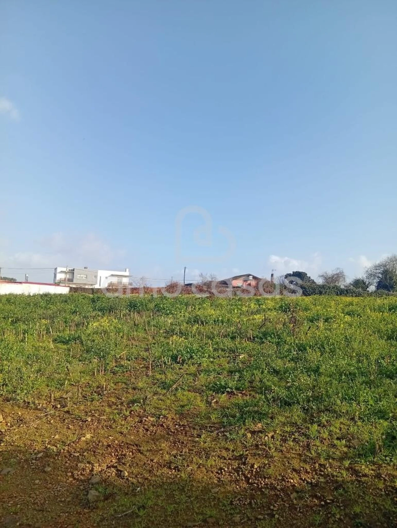 Terreno para Venda em Salreu Foto 1