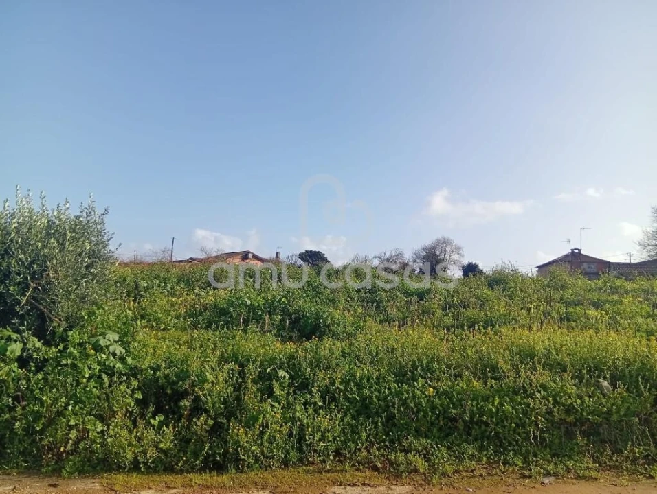 Terreno para Venda em Salreu Foto 2