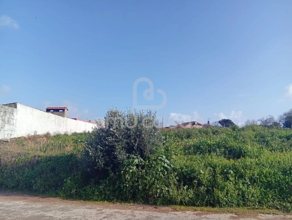 Terreno para Venda em Salreu Foto 5